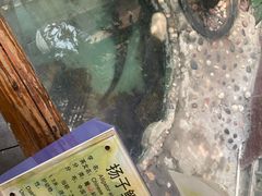-上海大自然野生昆虫馆
