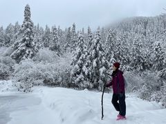 -武陵山森林公园