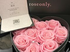 -ROSEONLY诺誓(广州K11店)