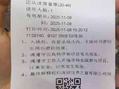 -世界之窗阿尔卑斯冰雪世界
