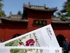 -洛阳白马寺
