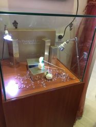 -天津伊美尔医疗整形美容专科医院