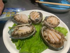 鲜活小鲍鱼-金龙·打边炉(武进路店)
