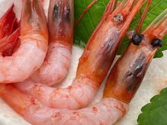 -元气寿司(金光华店)