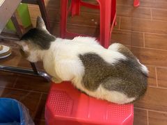 -广场正宗原汁薏米店