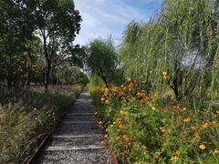 -柳鹭田园区
