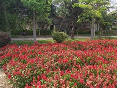 -广东花都香草世界旅游度假区