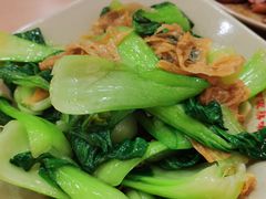 腐皮炒青菜-百家鸡味馆(清泰店)