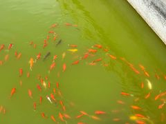 -龙口南山旅游景区