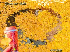 -承恩寺