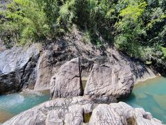 -广州白江湖森林公园