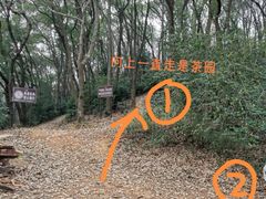 -岳麓山风景名胜区