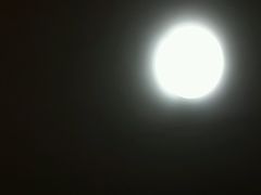 android_upload_pic-香港城市花园酒店