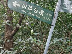 -紫金山山顶公园