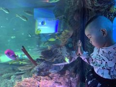 -沈阳海洋探索中心