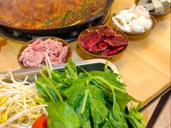 -重庆川渝肥妹火锅