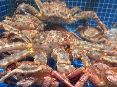 -东海怡品海鲜豆捞(星街坊店)