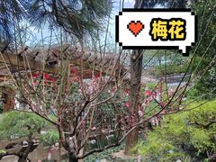 -龙华寺