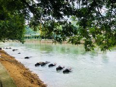 -杭州双溪漂流景区