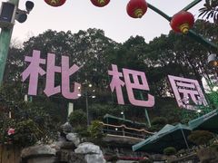 -枇杷园食为鲜火锅(南山店)