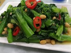 -蔡记包子(百花路店)