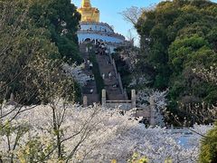 -苏州上方山国家森林公园