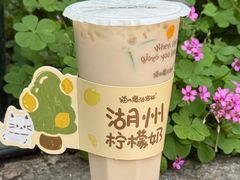 -猫的魔法密林(衣裳街店)