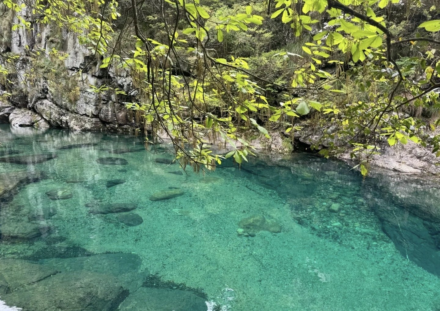https://qcloud.dpfile.com/pc/d8jWdSOGSpwtF-sXaTYoKArRnaGhR2PFJvHoVNeky1MMNz_9C2uRxkNHF6_y8Qv2Y0q73sB2DyQcgmKUxZFQtw.jpg
