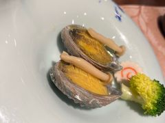 -黑松白鹿(新活馆店)