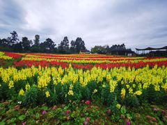 -保利石象湖景区