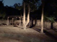 -清迈夜间动物园