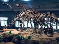 -自贡恐龙博物馆