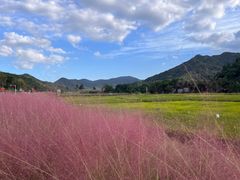 -东钱湖旅游度假区