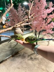 -酷嗒动物文化乐园(cutezoo西溪乐天城店)