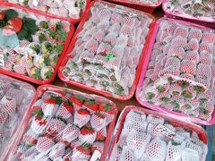 -双福水果批发市场