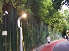 -西安市长乐公园