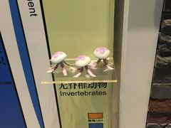 -房山世界地质公园博物馆