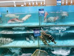 -强记海鲜·大排档(蛇口新街店)