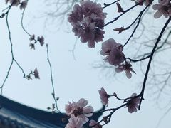 -堤角公园