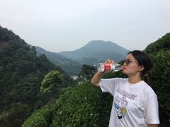 -午潮山国家森林公园