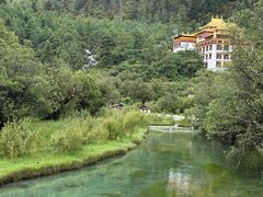 -稻城亚丁景区-冲古草甸