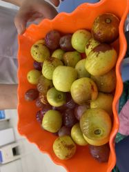 -派恩宜灰指甲鸡眼嵌甲手足癣