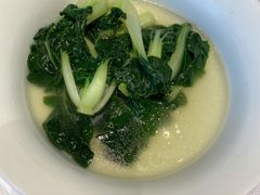 上汤青菜-春满园·早茶·粤菜·宴会(前海店)