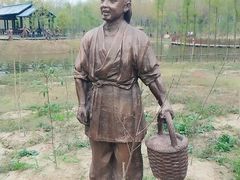 -合肥滨湖国家森林公园