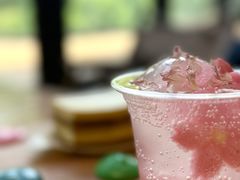 -J Create城市露营咖啡·简餐·宠物(上海动物园店)