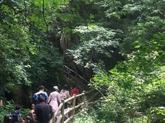 -洛阳白云山景区