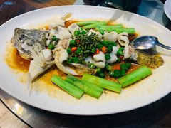 鲜花椒蒸桂花鲈-猪肉婆私房菜(容桂总店)