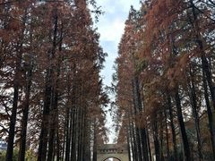 -歌斐颂巧克力小镇