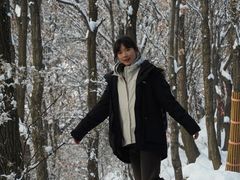 -少华山国家森林公园