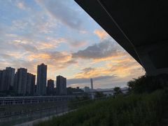 -南山植物园